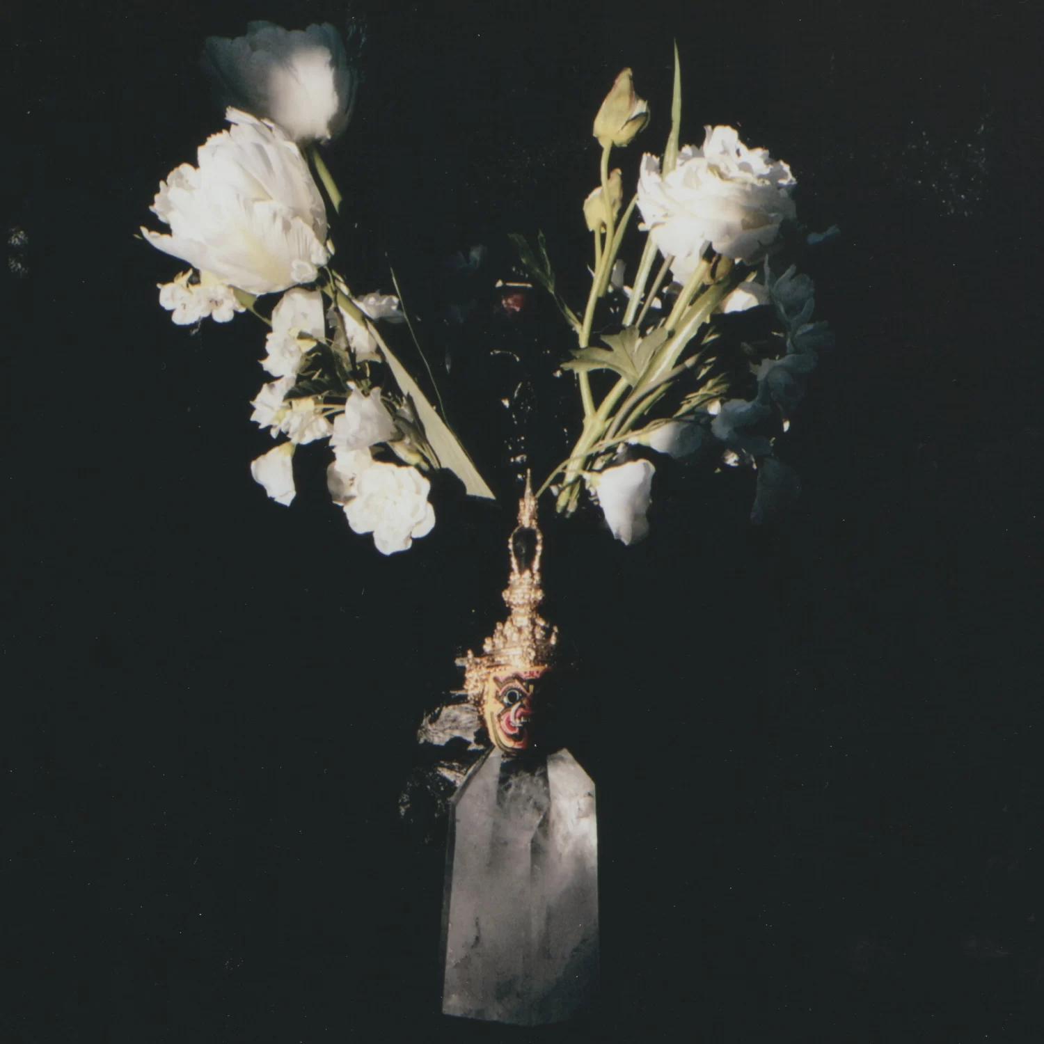 Qual — Cupio Dissolvi release artwork