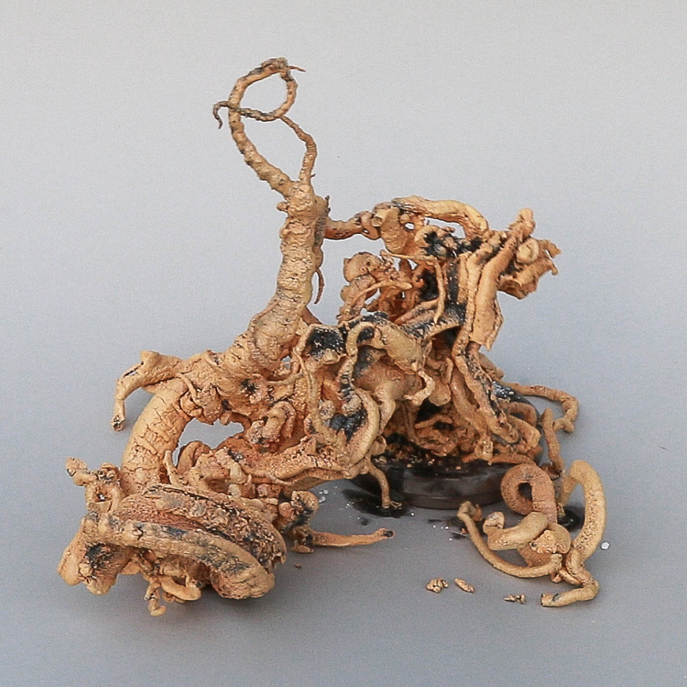 Patricia Kokett — Artefakt release artwork