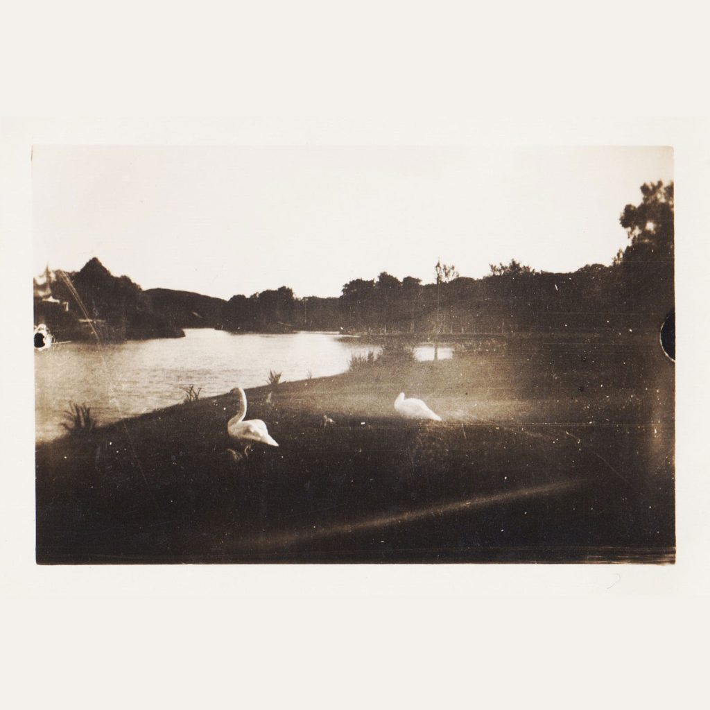 Dufwa — Fältinspelningar från Terres de l’Ebre release artwork