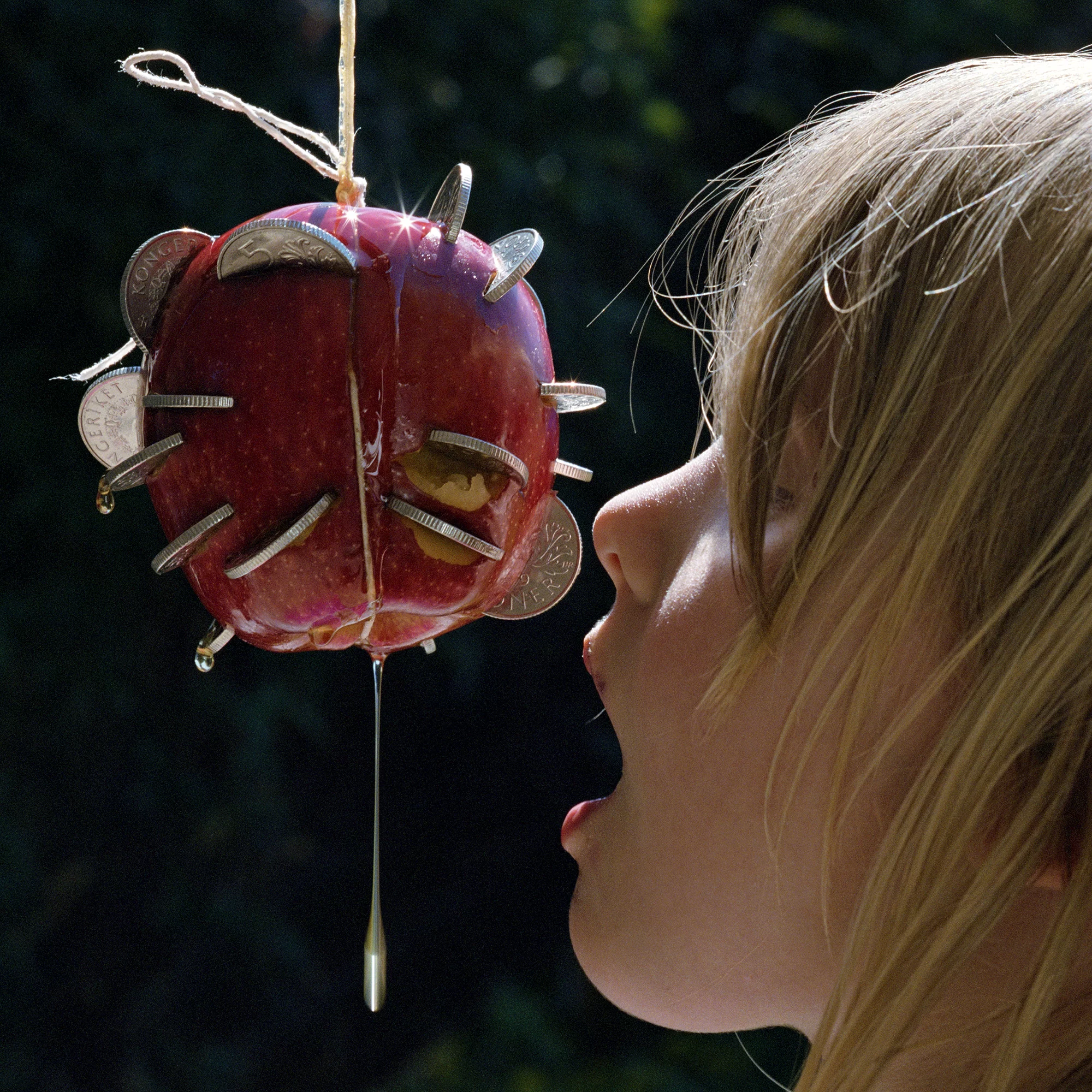 Puce Mary — The Drought release artwork