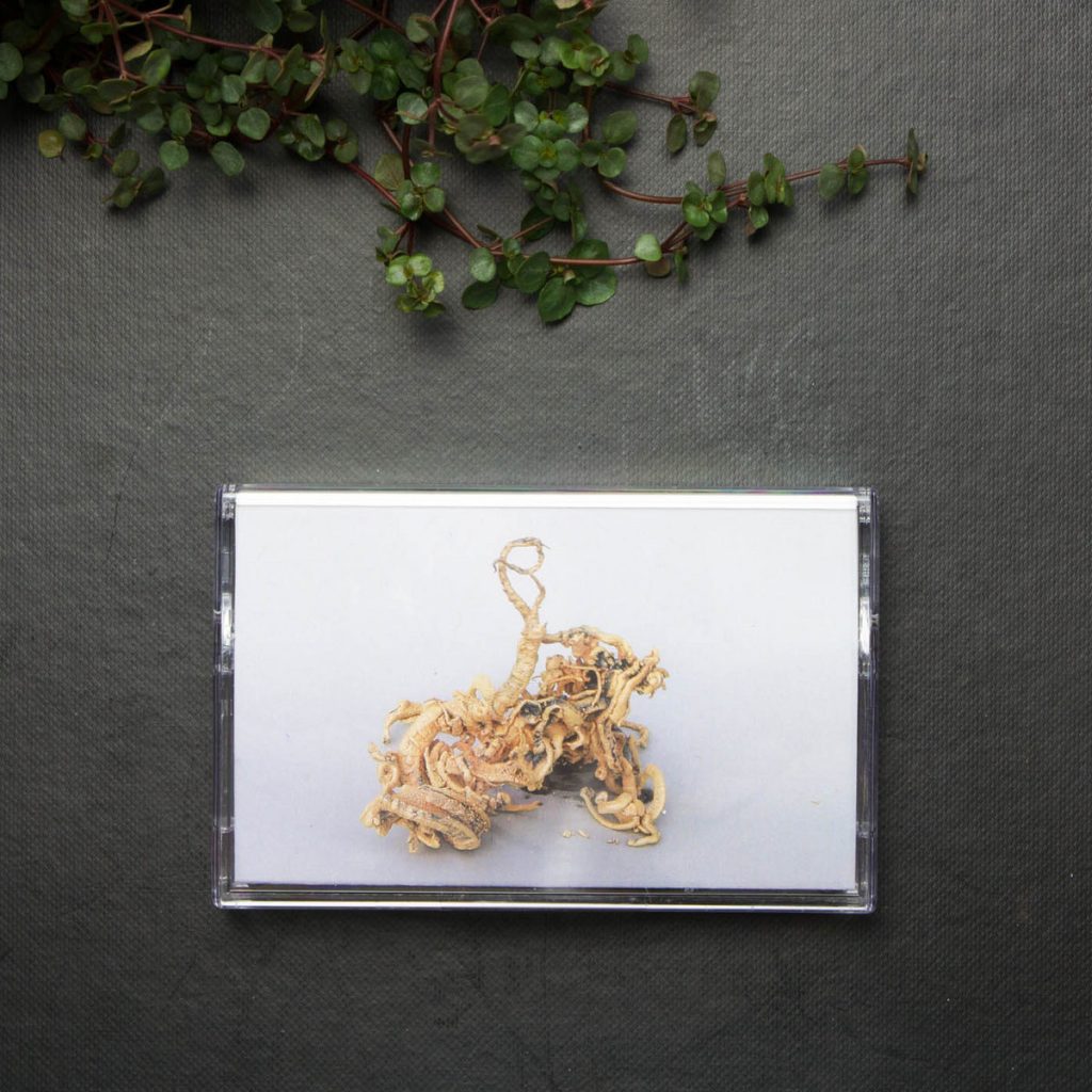 Patricia Kokett — Artefakt physical release