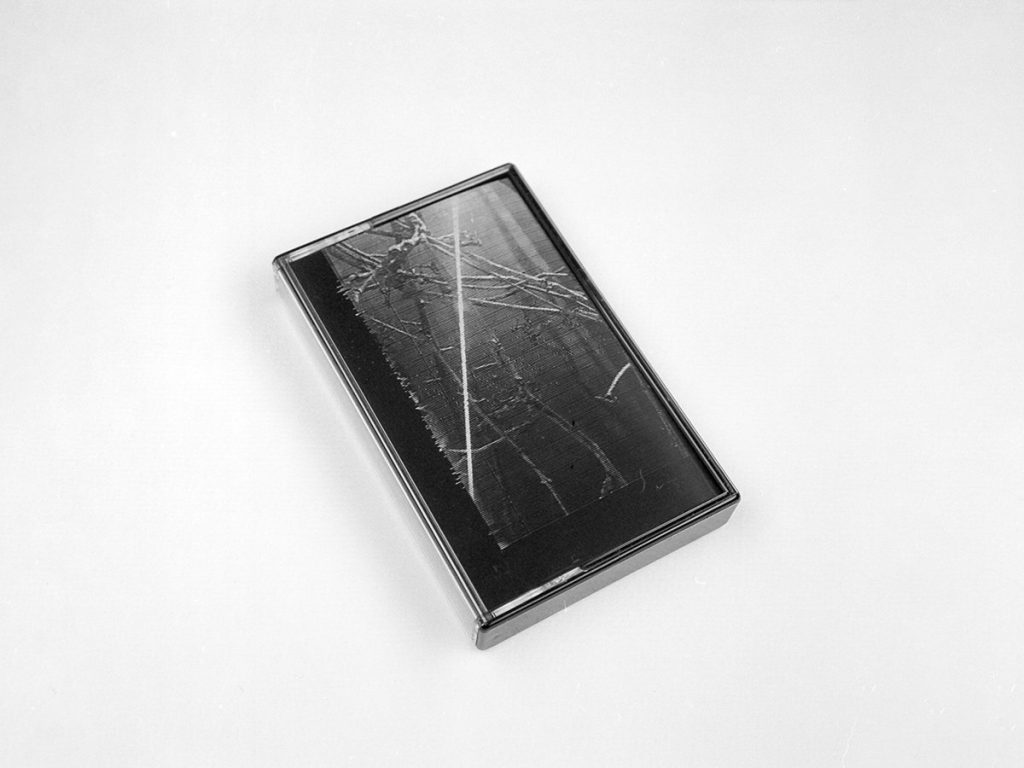 TIESE — Ex Nullo: complete case and printed cover