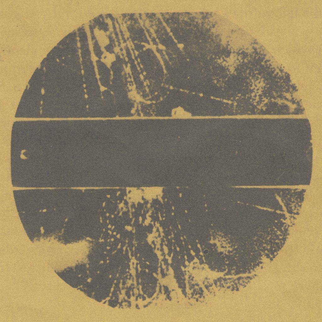 Container — LP release artwork