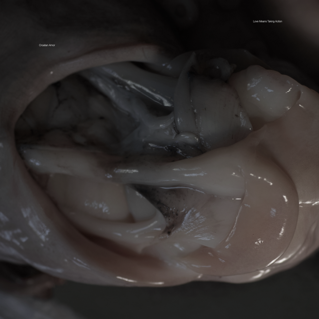 Croatian Amor — Love Means Taking Action release artwork