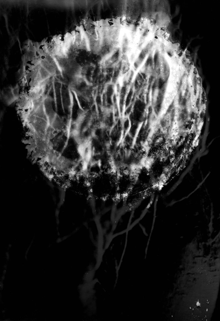 Honzo — Melancholia photographic print