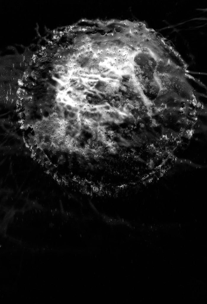 Honzo — Melancholia photographic print