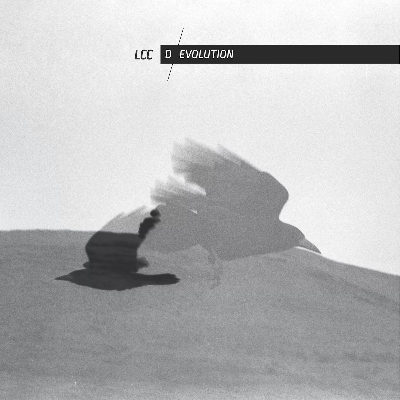 LCC — d/evolution · Full release cover