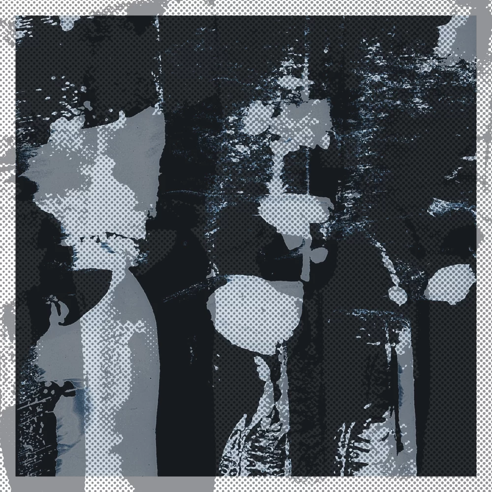 AnD — Cosmic Microwave Background · Full release cover