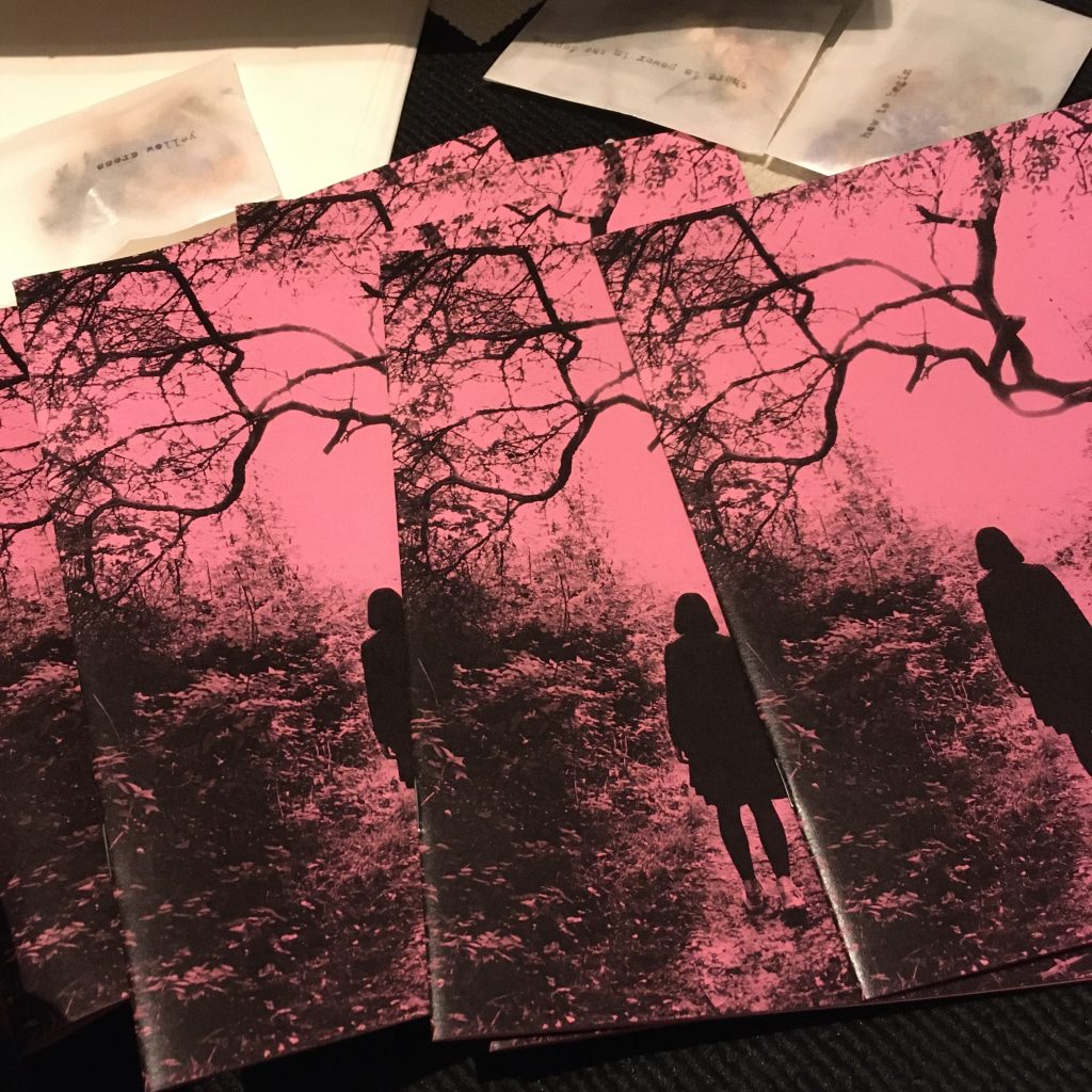 Paper Dollhouse — The Walled Garden, neon pink fanzine