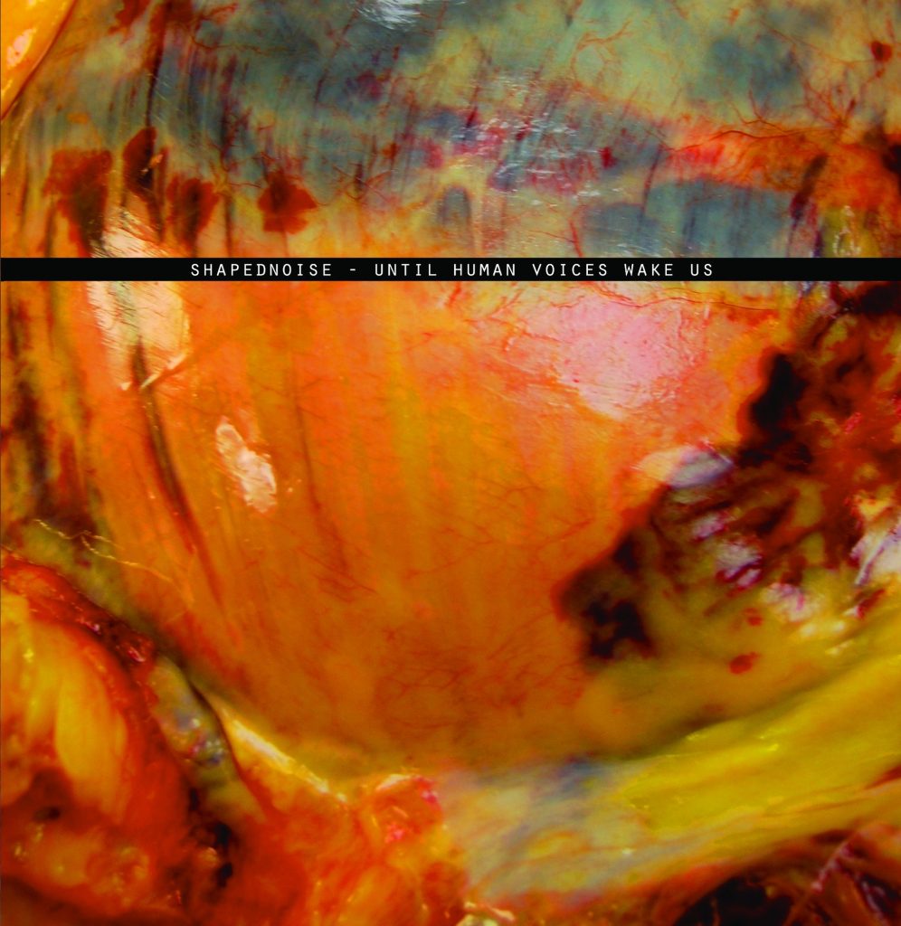 Shapednoise — Until Human Voices Wake Us release artwork