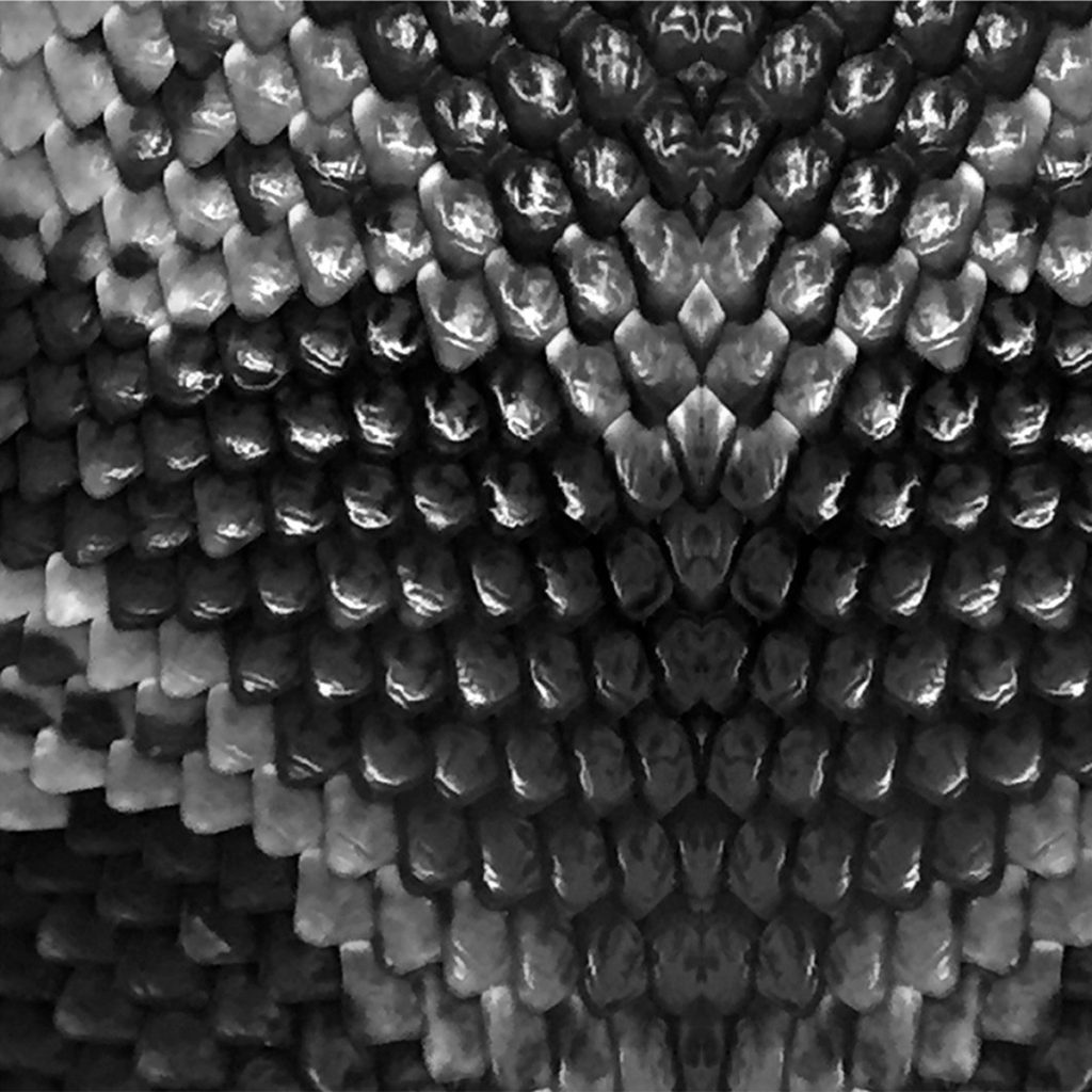 Snake — Pipes Escape Me release artwork