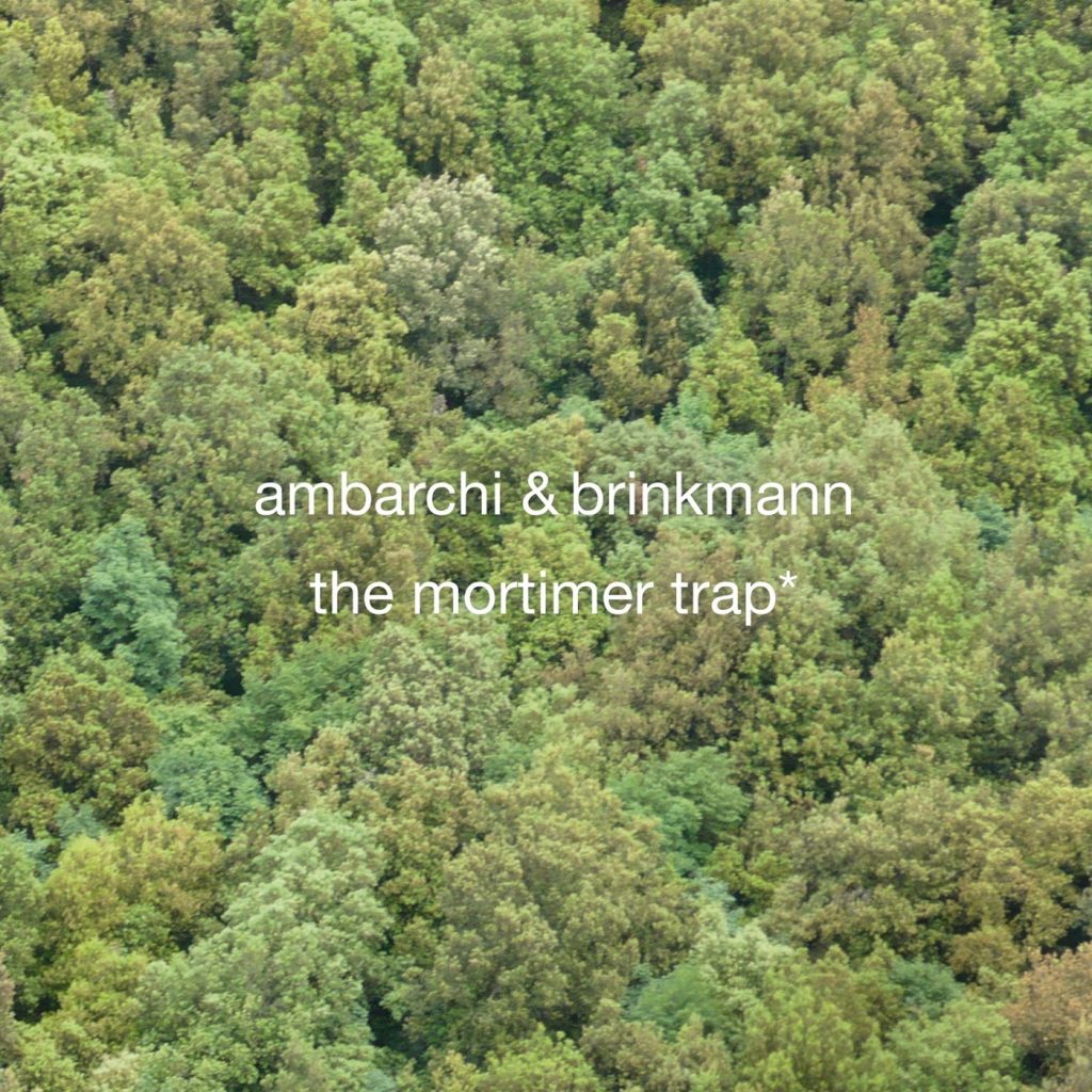 Ambarchi & Brinkmann — The Mortimer Trap release artwork