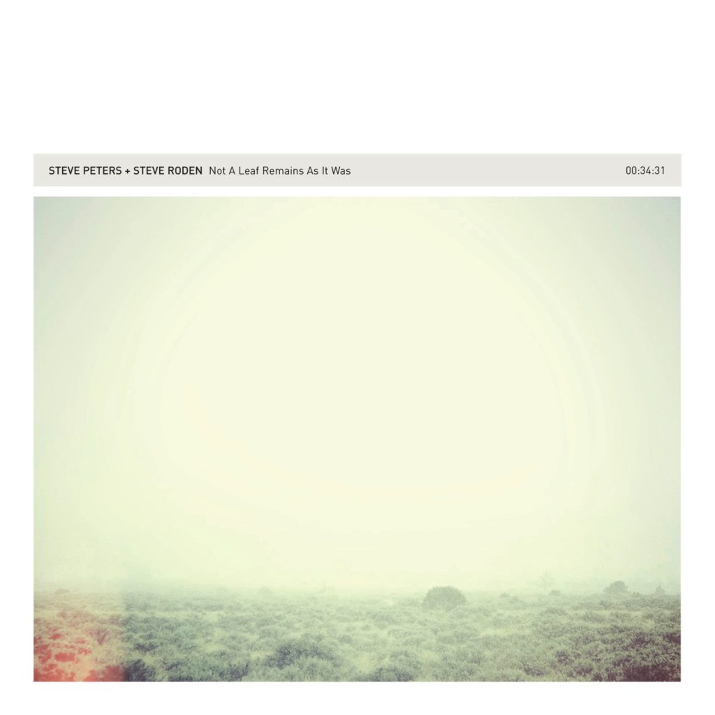 Steve Peters + Steve Roden — Not A Leaf Remains As It Was release artwork