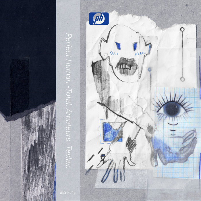Perfect Human — Total. Amateurs. Teslas release artwork