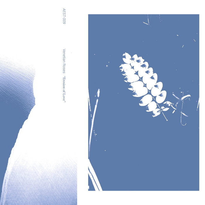 Venetian Roses — Erosion of Love release artwork