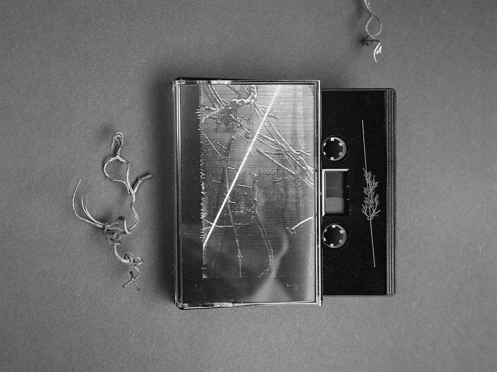 TIESE — Ex Nullo: the original case, cover and black cassette